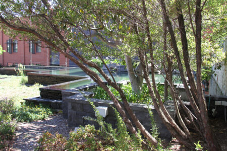 V&A Waterfront Cape Town (12)