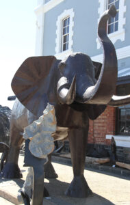 V&A Waterfront Cape Town (23)