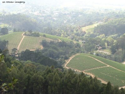 View 1 of Constantia Wine Valley View 1 of Constantia Wine Valley