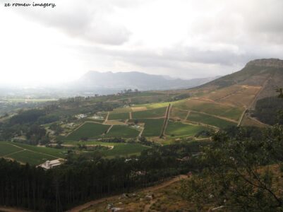 View 2 of Constantia Wine Valley View 2 of Constantia Wine Valley