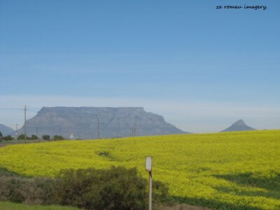 Views Of Table Mountain [11]