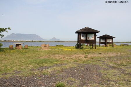 Views Of Table Mountain [14]