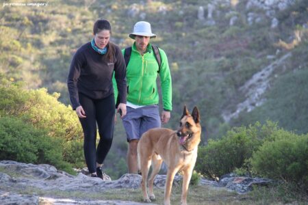 Walking the Dog on Constantia Nek Hiking Trail Walking the Dog on Constantia Nek Hiking Trail