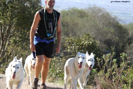 Walking the dogs on Constantia Nek Hiking Trail Walking the dogs on Constantia Nek Hiking Trail