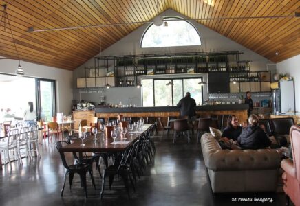 Warwick Wines [3], Stellenbosch