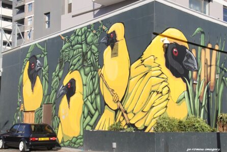 Woodstock Street Art while on Tour in Cape Town [10]