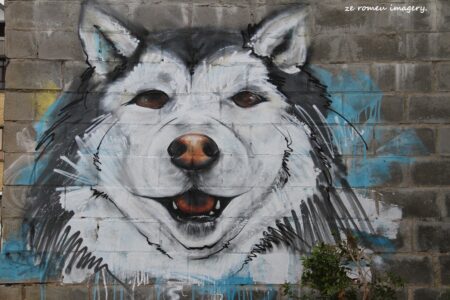 Woodstock Street Art while on Tour in Cape Town [13]