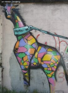Woodstock Street Art while on Tour in Cape Town [16]