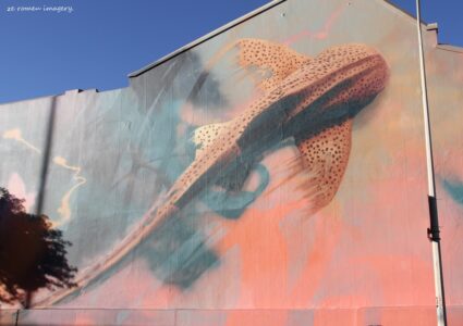 Woodstock Street Art while on Tour in Cape Town [2]