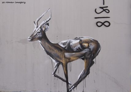 Woodstock Street Art while on Tour in Cape Town [21]