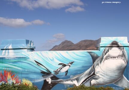 Woodstock Street Art while on Tour in Cape Town [25]