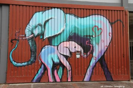 Woodstock Street Art while on Tour in Cape Town [28]