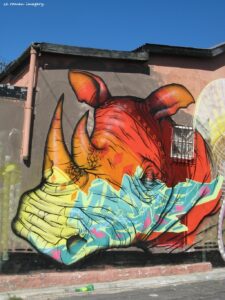 Woodstock Street Art while on Tour in Cape Town [29]