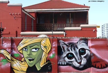 Woodstock Street Art while on Tour in Cape Town [3]