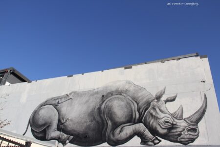 Woodstock Street Art while on Tour in Cape Town [32]