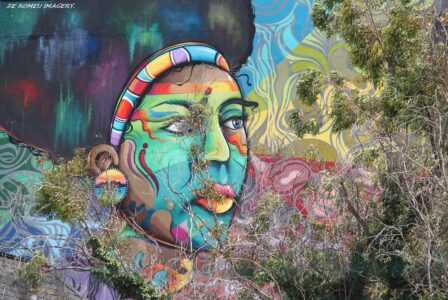 Woodstock Street Art while on Tour in Cape Town [34]