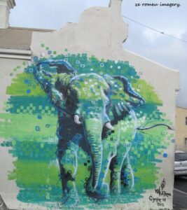 Woodstock Street Art while on Tour in Cape Town [38]