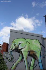 Woodstock Street Art while on Tour in Cape Town [6]
