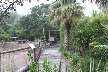 World Of Birds Wildlife Sanctuary & Monkey Park Hout Bay (106)