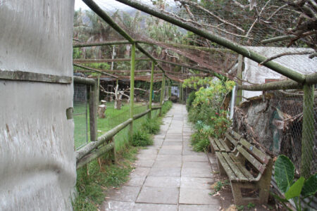 World Of Birds Wildlife Sanctuary & Monkey Park Hout Bay (18)