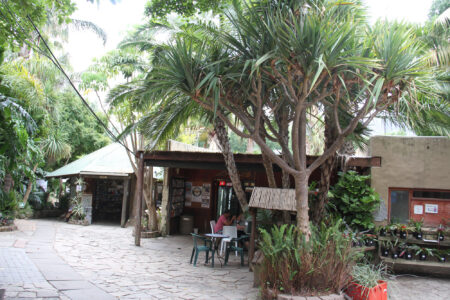 World Of Birds Wildlife Sanctuary & Monkey Park Hout Bay (2)