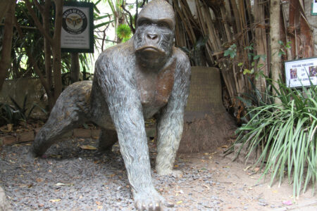 World Of Birds Wildlife Sanctuary & Monkey Park Hout Bay (29)