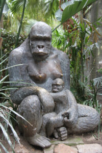 World Of Birds Wildlife Sanctuary & Monkey Park Hout Bay (30)