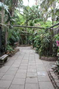World Of Birds Wildlife Sanctuary & Monkey Park Hout Bay (31)