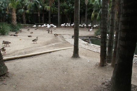 World Of Birds Wildlife Sanctuary & Monkey Park Hout Bay (38)