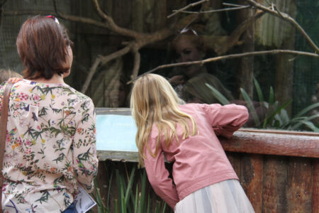 World Of Birds Wildlife Sanctuary & Monkey Park Hout Bay (39)