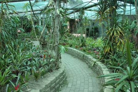World Of Birds Wildlife Sanctuary & Monkey Park Hout Bay (63)