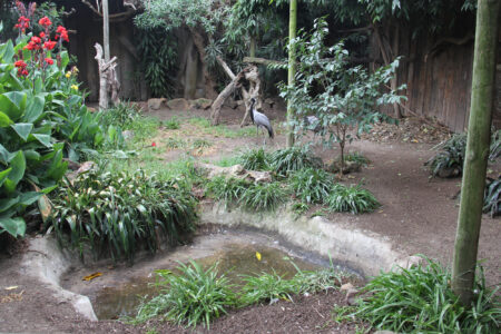 World Of Birds Wildlife Sanctuary & Monkey Park Hout Bay (73)