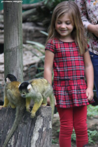 World Of Birds Wildlife Sanctuary & Monkey Park Hout Bay (83)