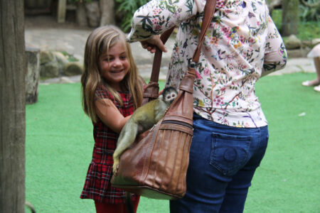 World Of Birds Wildlife Sanctuary & Monkey Park Hout Bay (86)