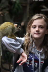 World Of Birds Wildlife Sanctuary & Monkey Park Hout Bay (87)