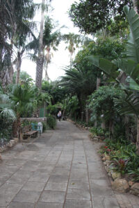 World Of Birds Wildlife Sanctuary & Monkey Park Hout Bay (93)