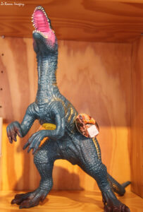 west coast fossil park