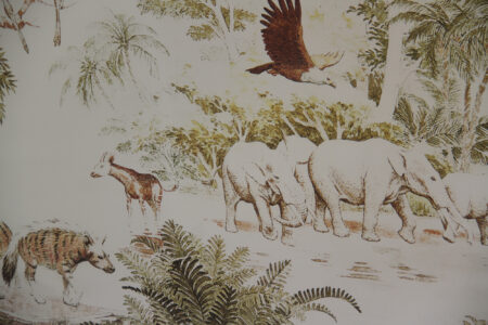 west coast fossil park (11)