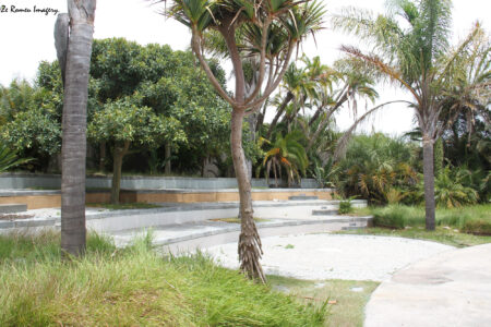 west coast fossil park (13)