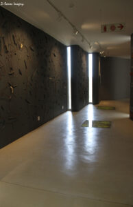 west coast fossil park (14)