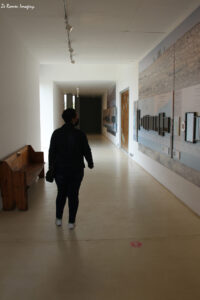 west coast fossil park (16)