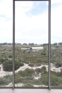 west coast fossil park (17)
