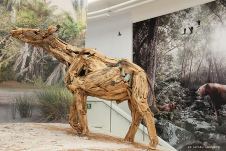 west coast fossil park (21)