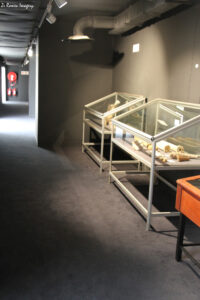 west coast fossil park (25)