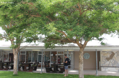 west coast fossil park (3)