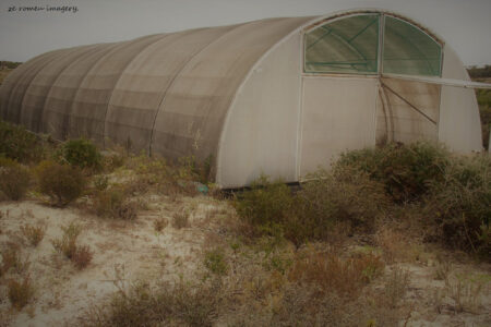 west coast fossil park (4)