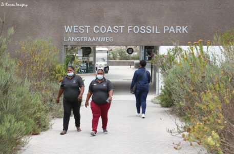 west coast fossil park.