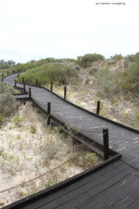 west coast fossil park. (10)