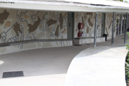 west coast fossil park. (7)