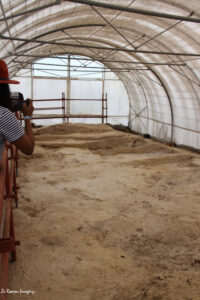 west coast fossil park. (9)
